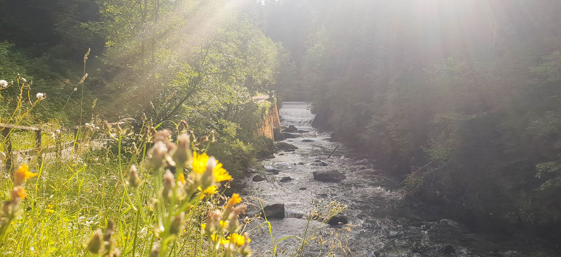 der Talbach entlang der Talbachklamm