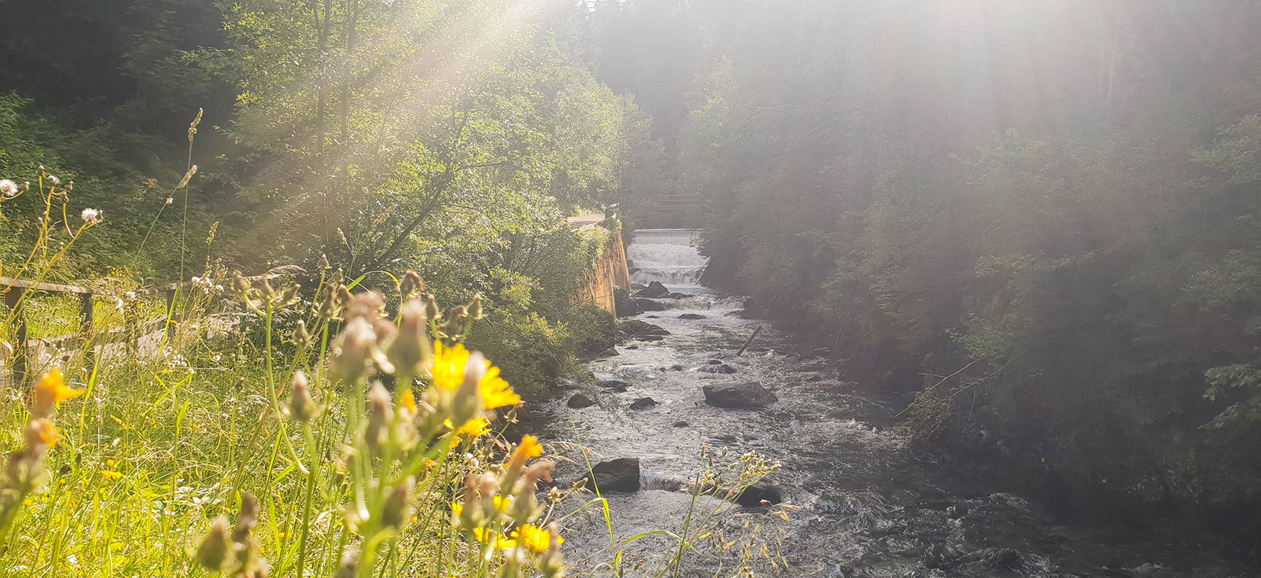 the Talbach stream along the Talbach gorge