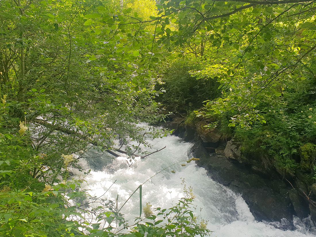 Wilde Wasser Weg